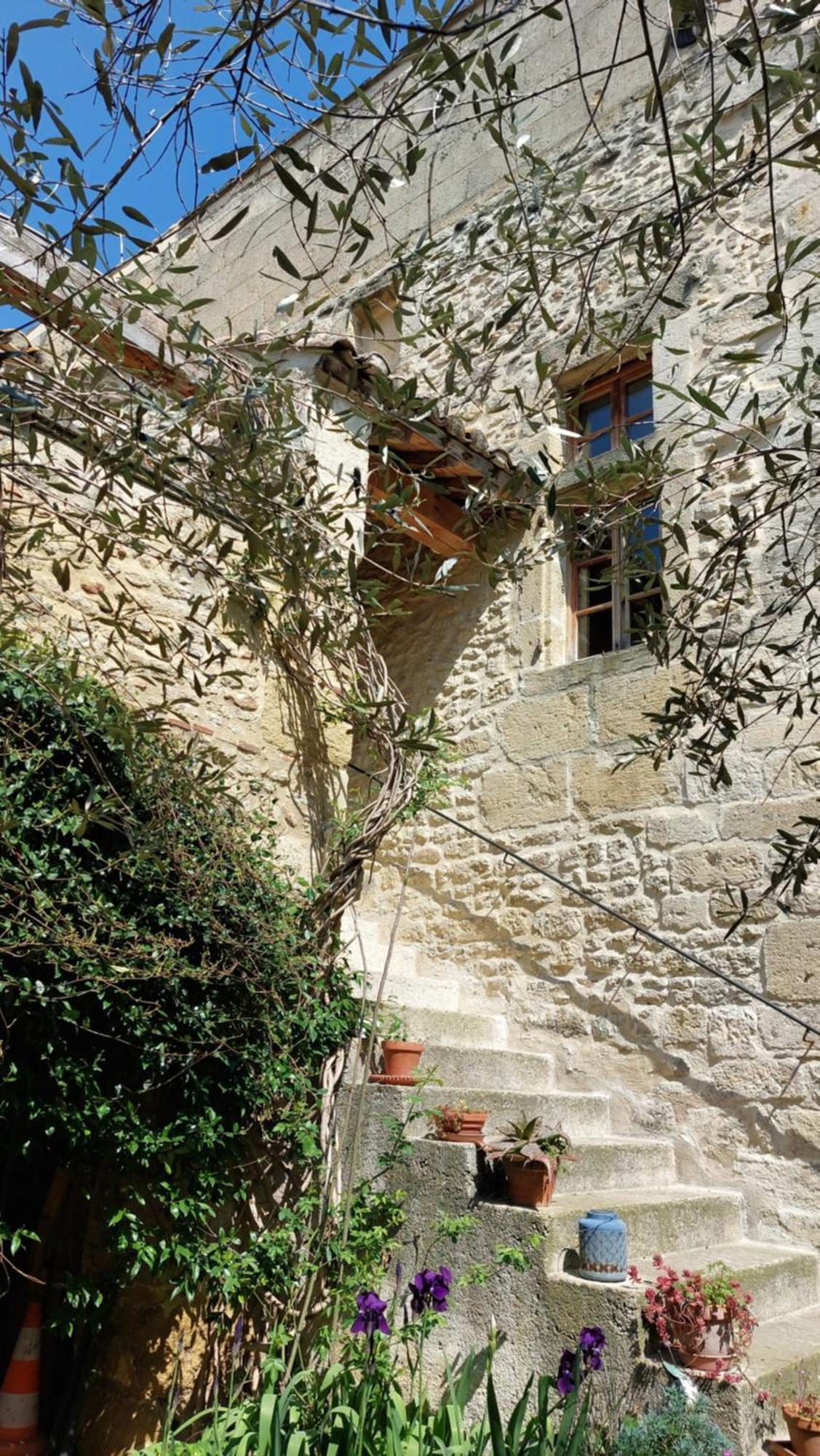 Le Petit Domeynes Daire Dış mekan fotoğraf